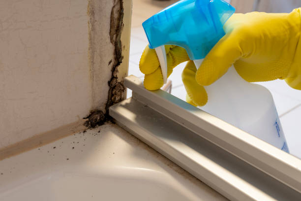 Best Mold Testing  in Highland, CA